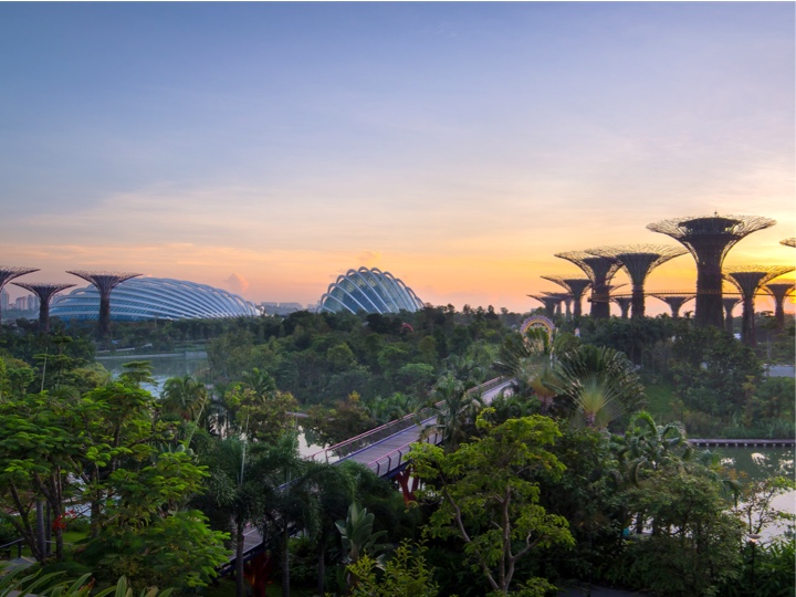 Environment city